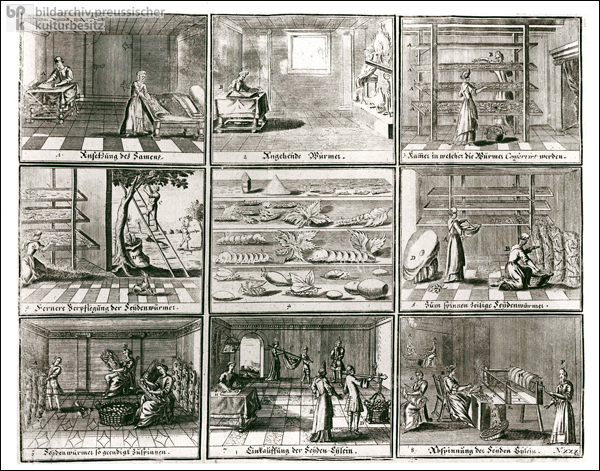 Manufacturing Silk (1750)